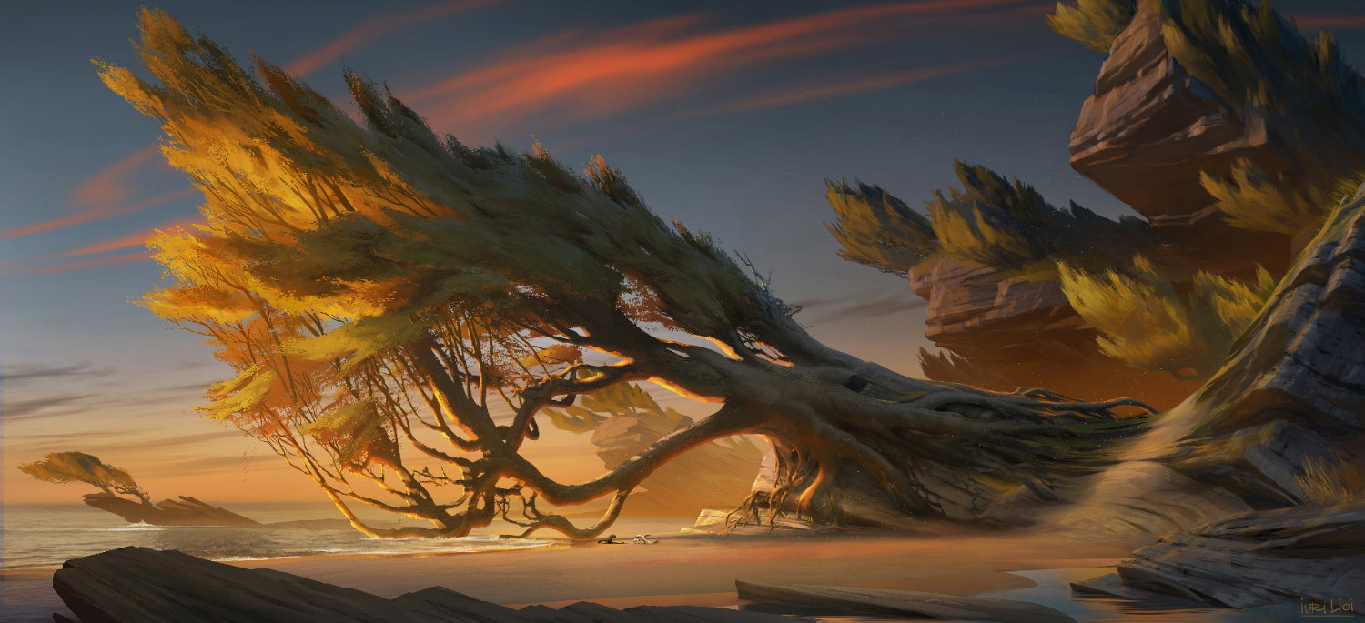 How to Train Your Dragon: The Hidden World — windswept tree on the shore